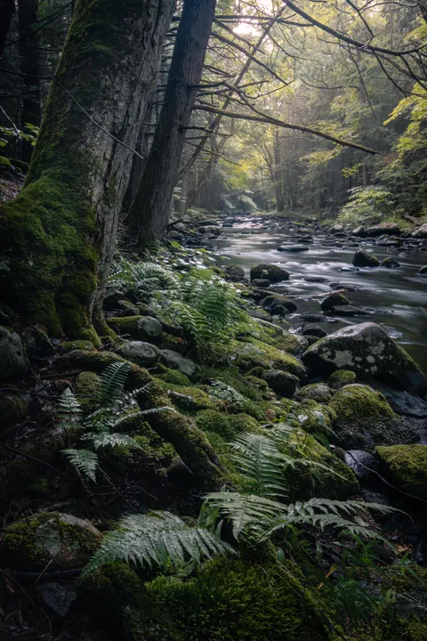 Looking for critiques of my Landscape Photography