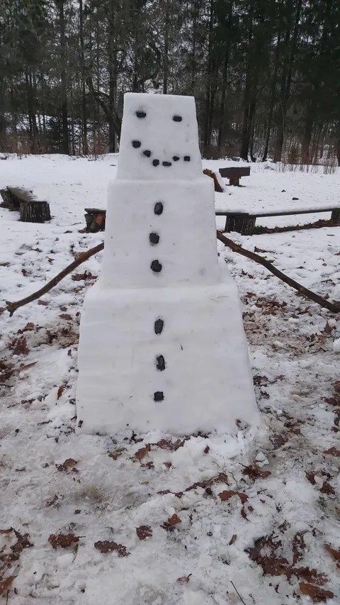 I tried making a snow golem irl