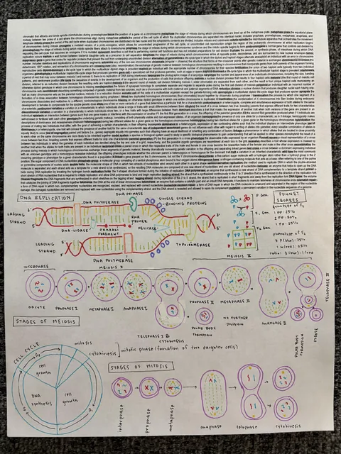 Notes For My Exam Today