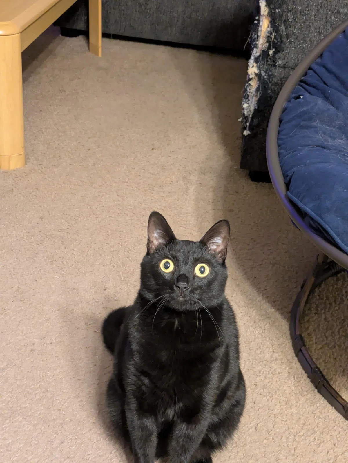 He always watching me