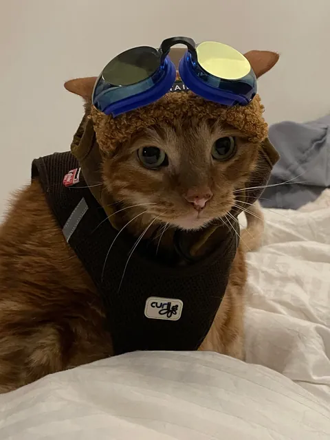 Jetpack Cat Cosplay