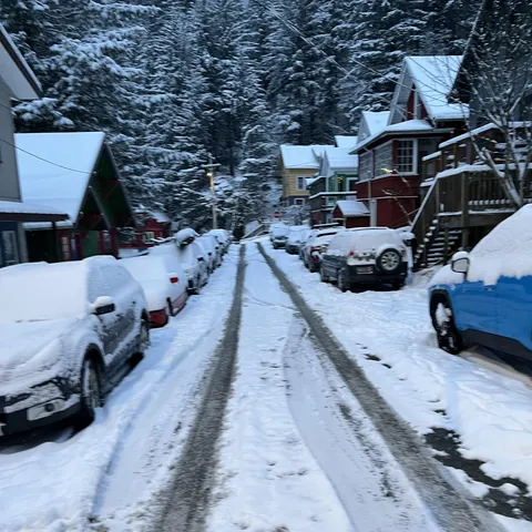 USPS carrier won’t even try to deliver in the snow. I’m in the capital of Alaska.