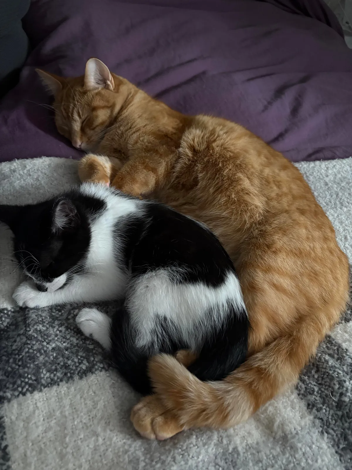 Can you believe they just met yesterday? ❤️