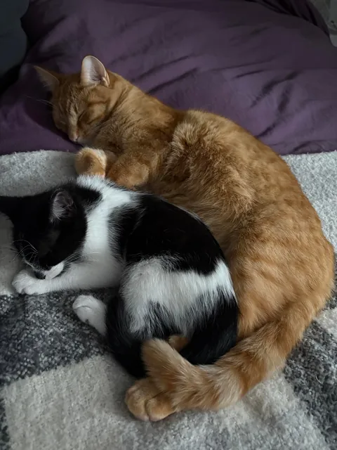 Can you believe they just met yesterday? ❤️