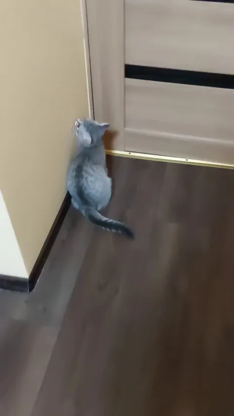 She hasn't quite figured out the doors yet