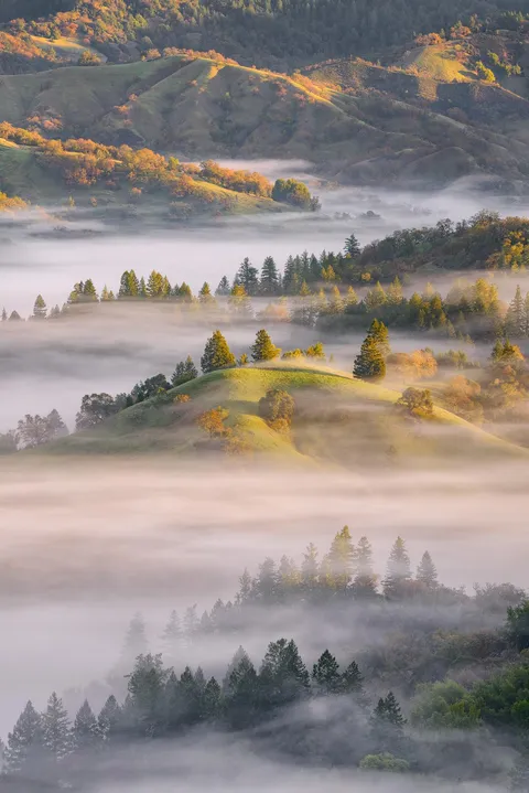 Foggy Hills of Sonoma County, California [OC] [1335x2000]
