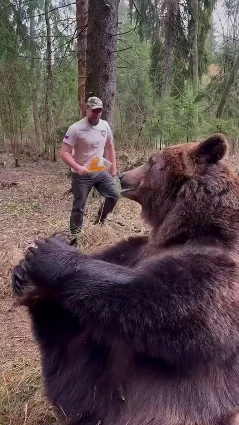 Just a normal day in Russia
