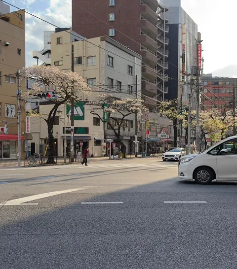 15 days solo trip to Japan. March- April 2025.