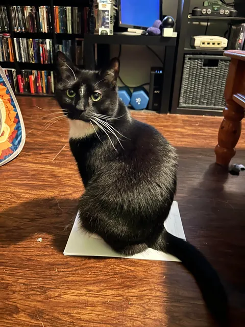 I never wanted to have to make this post. For my baby, Turkleton