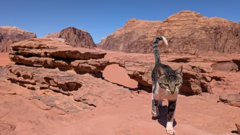 Jordan - 10 days in the jewel of the Middle East