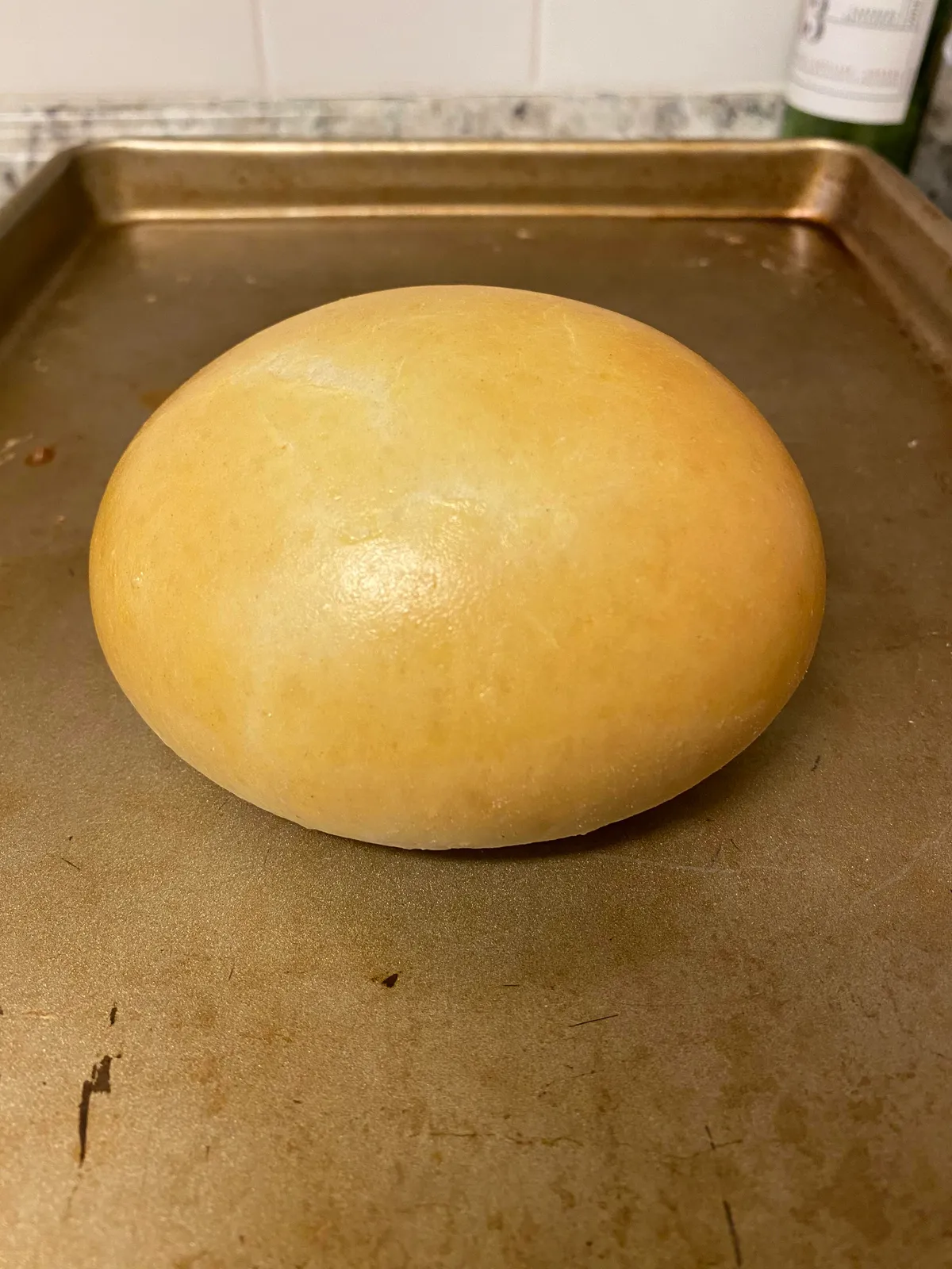 This burger bun that I made