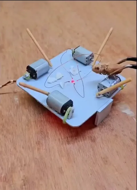 You picked the wrong house, fool!