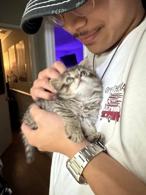 His name is Wilfred and he just stole my entire family’s hearts