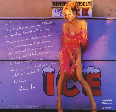 Pamela Anderson’s official 1997 Calendar saw her leave her clothes on!? Absolutely tragic decision, but she still looked great!