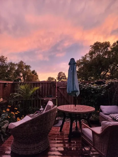 My small backyard after some rain