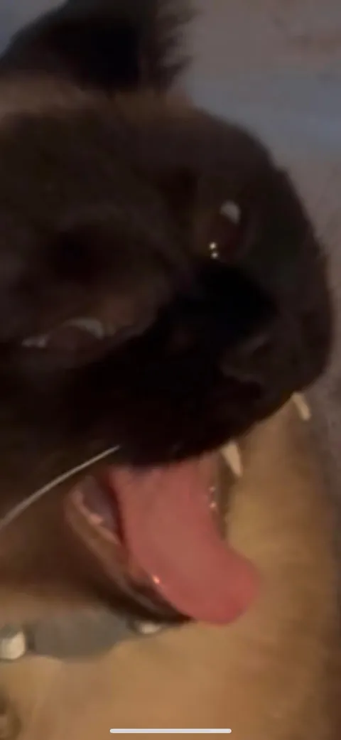 I JUST bought that heating pad…