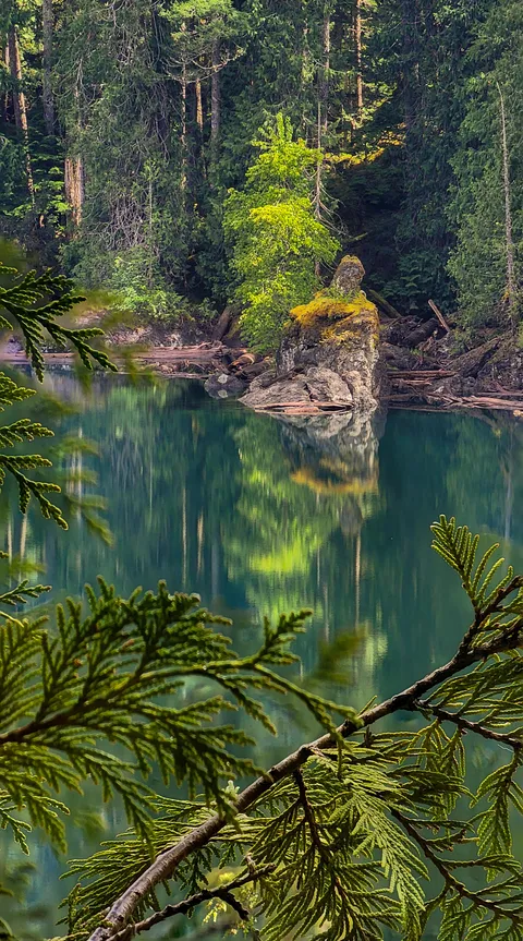 Lower Lena Lake, Olympic National Park, WA, USA [OC[ [2252x4000]
