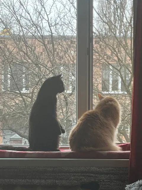 A photo of your pet from each of you!