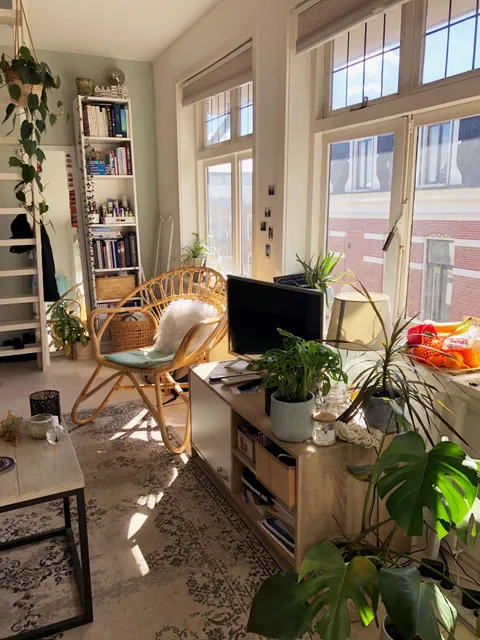 My plant-filled, slightly messy student room