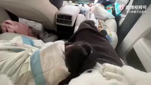 Whole family sleeping peacefully in car that’s bolting down the freeway