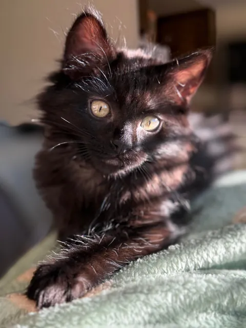 What would you name her?