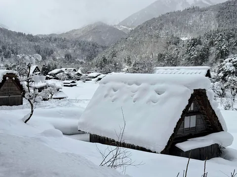 Japan, you were amazing!