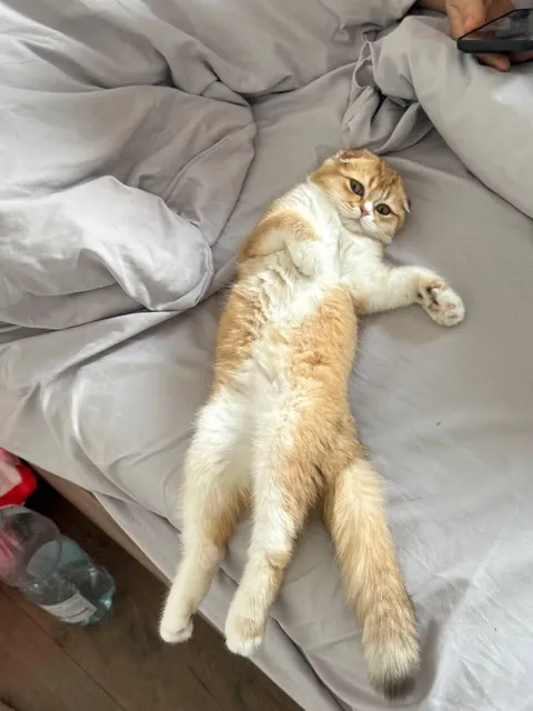 Good morning! ☀️