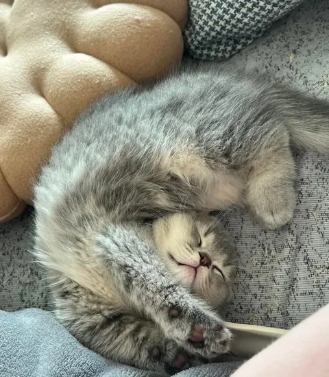 They melted again. I can’t with these two.