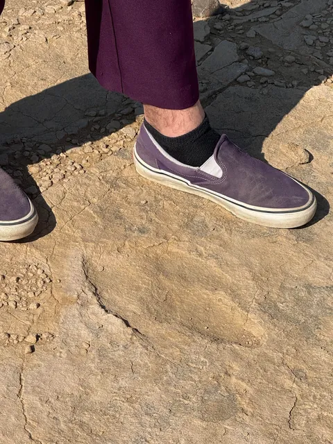 Mongolia trip report &amp; pics