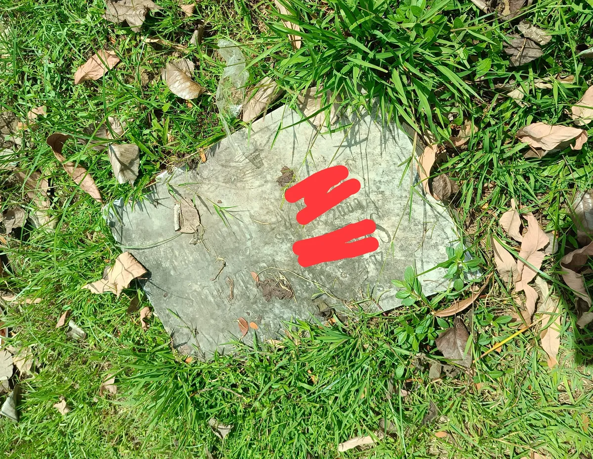 Forgotten graves in our cemetery