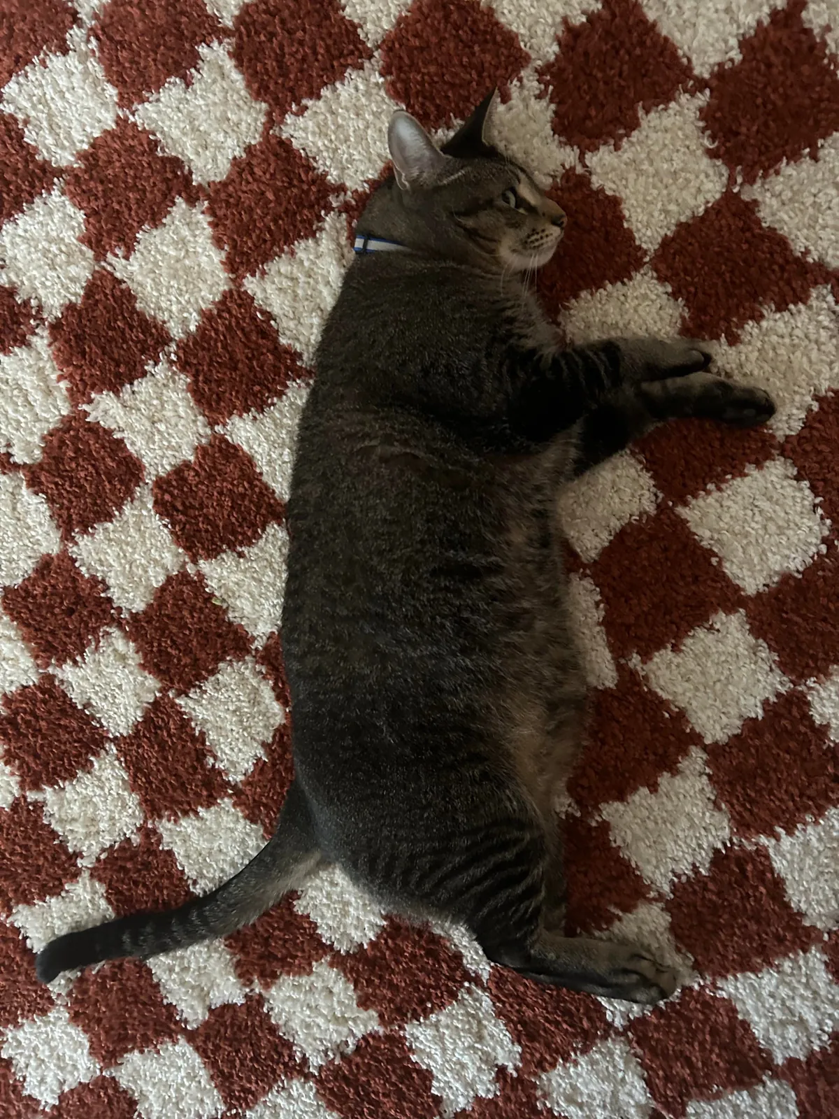 My first solo apartment - ATL, GA