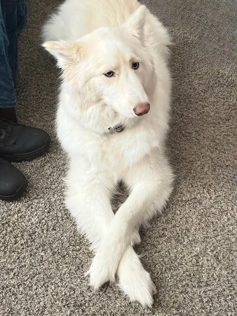 I promise she’s real!!