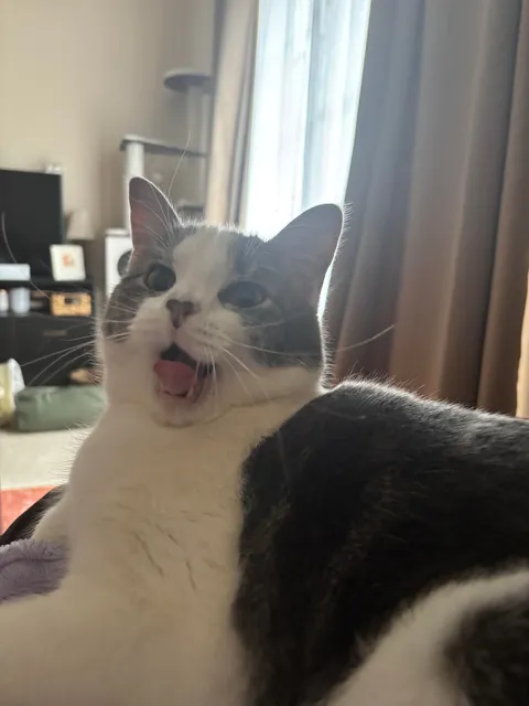 The 5 hour nap was not enough. I must sleep more.