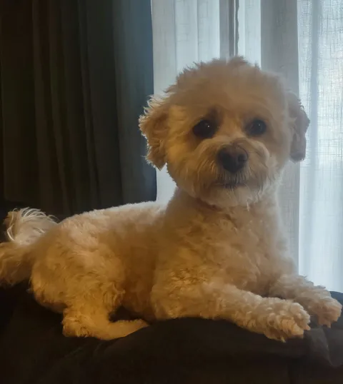 She'd like your support. She's thinking of making a run for the Presidency if there's another election.