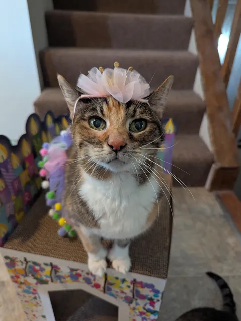 Kate turned 20! 🎉