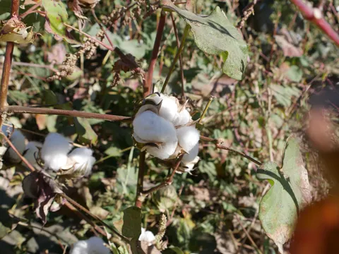 Uzbekistan has to be one of the most incredible and captivating countries in the world.