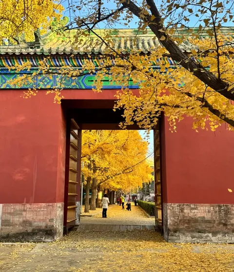 Autumn in Beijing