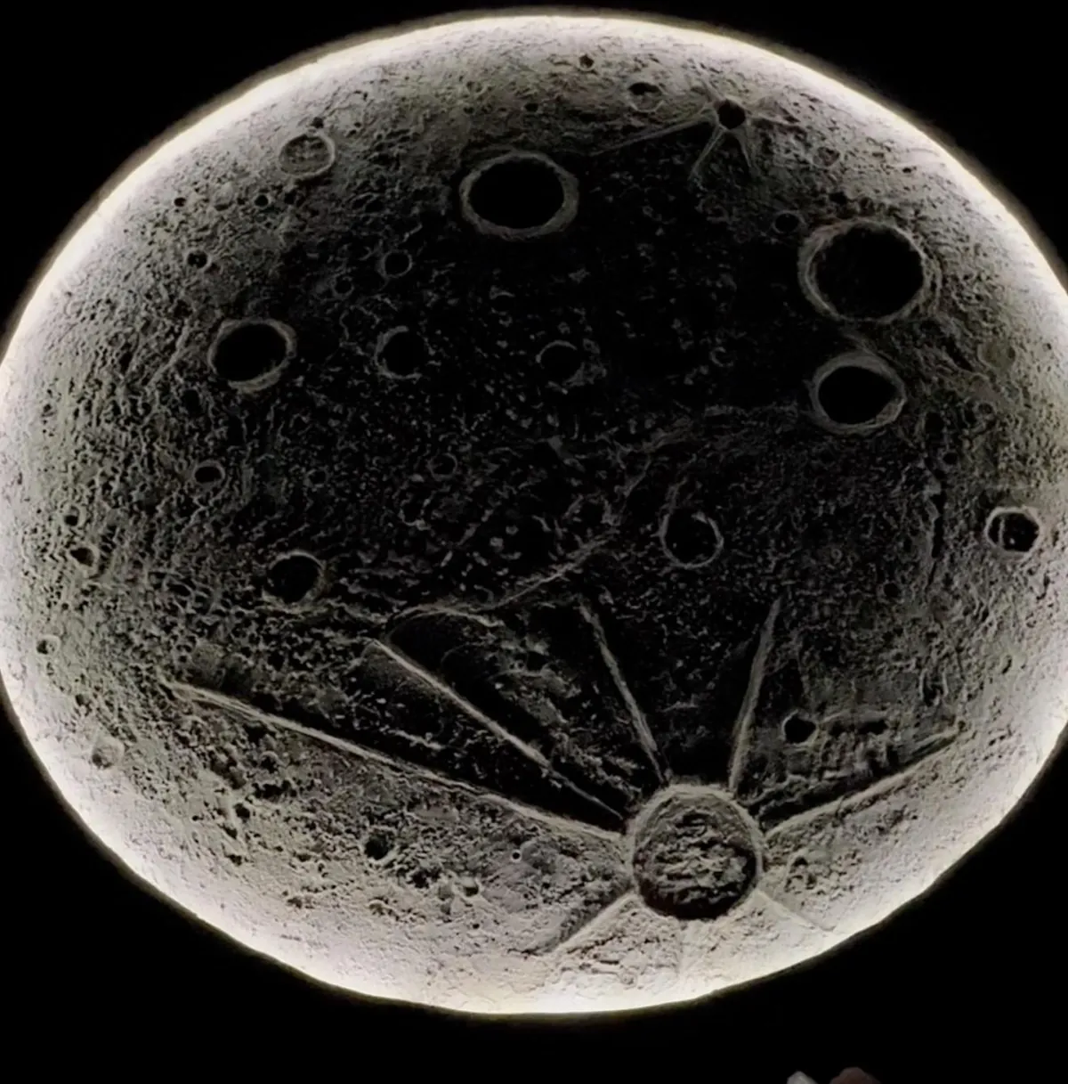 Thought some folks here might appreciate this. 100% concrete.