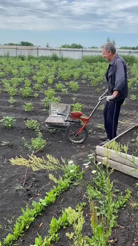 The farmer who found a way to get rid of agricultural pests without using pesticides. This is brilliant and they are still alive.