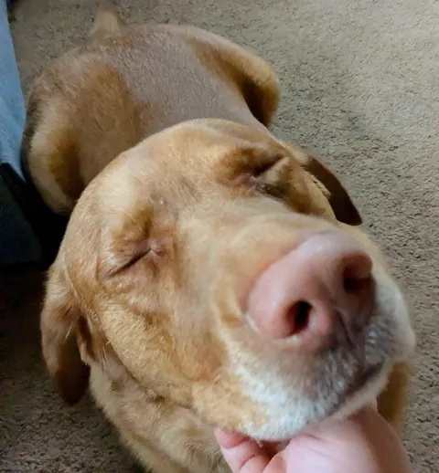 Oh my goodness how the time flys