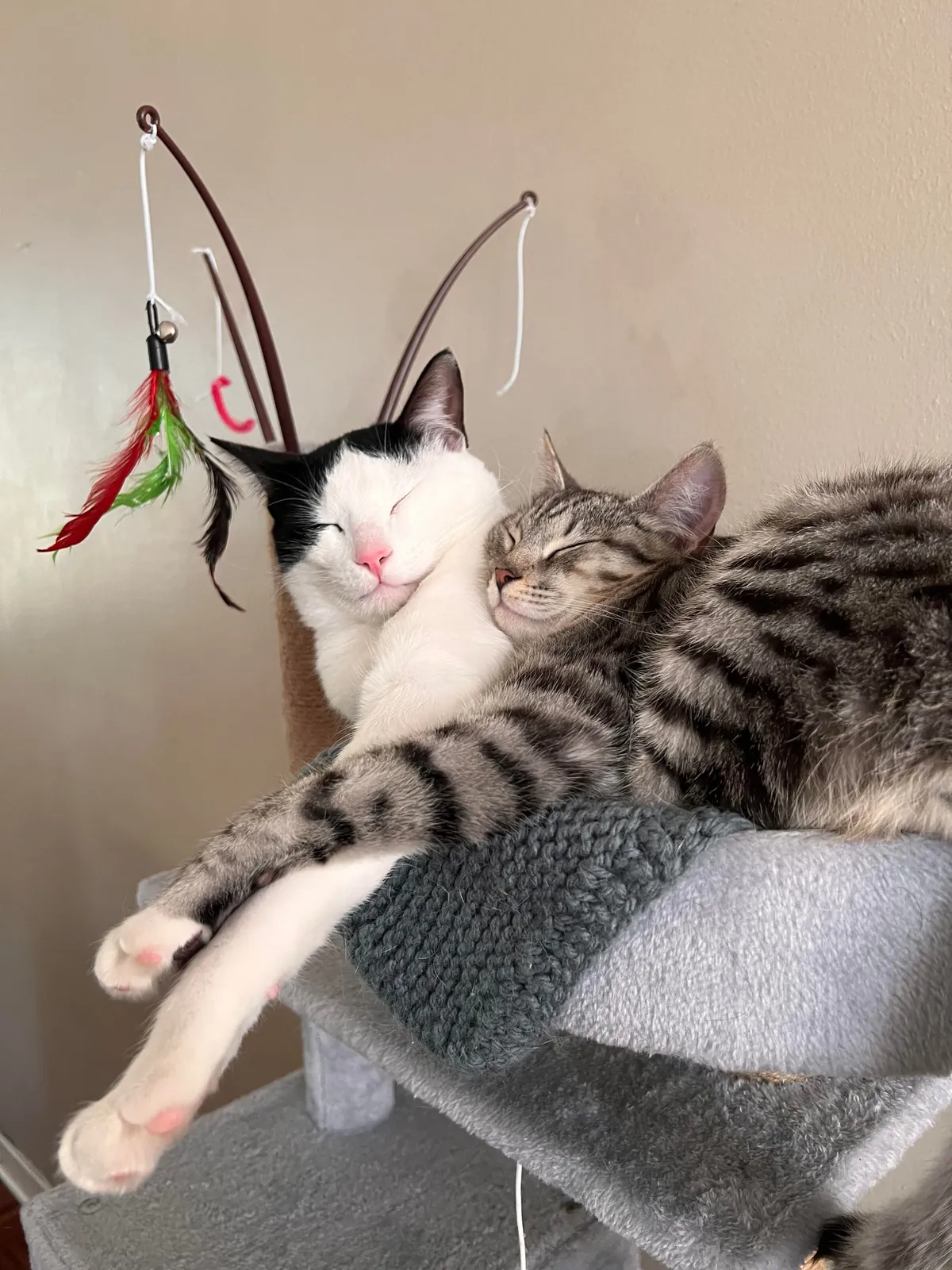 These guys have only known each other a few weeks