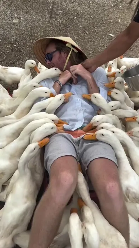 This way of Feeding ducks