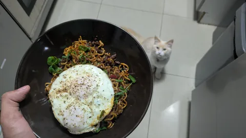 [Homemade] Indo Mee noodles with minced beef stir fry. Ignore Leo on the side
