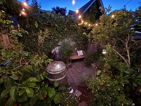 Night and day in our reading garden.