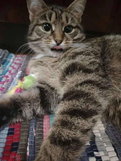 My friend says he looks weird, but I think he’s perfect. Thoughts?