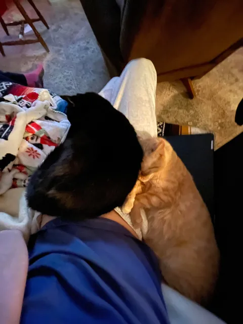 22 Years Old and Still Runs The House