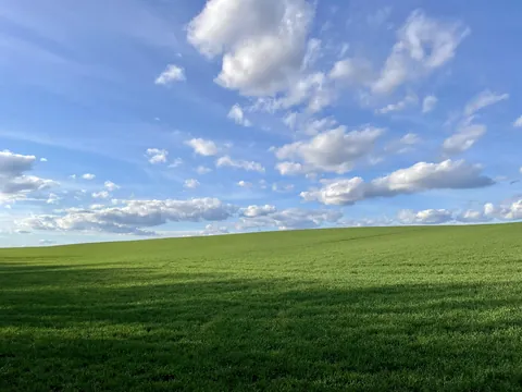 I shot a perfect Windows XP background