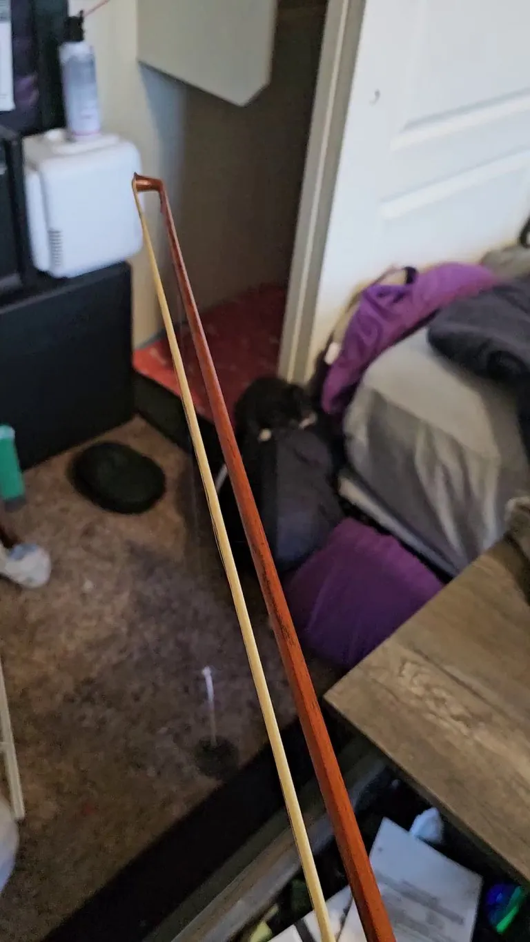 Cat stuck in drain update