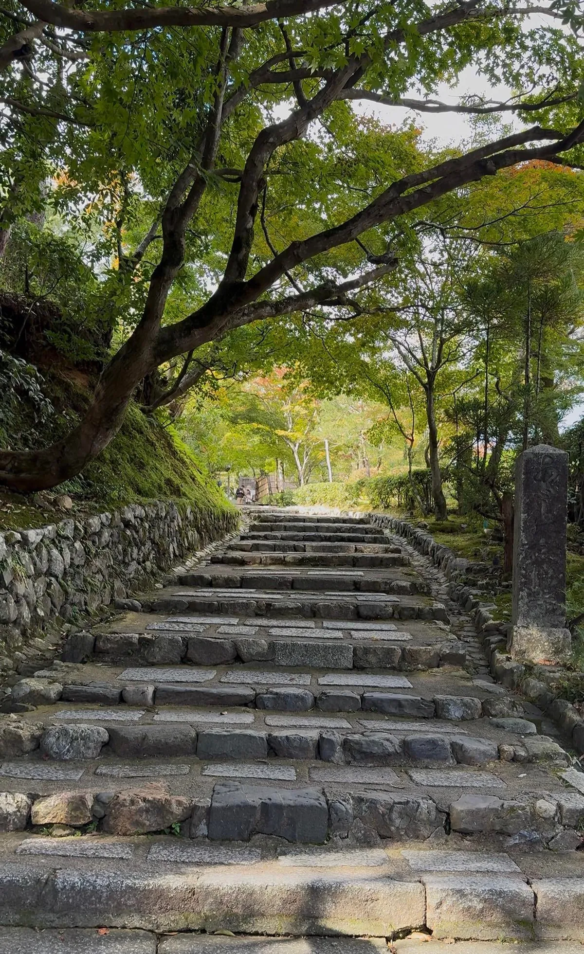 You don’t need 20,000 steps a day or every hyped-up restaurant to enjoy Japan
