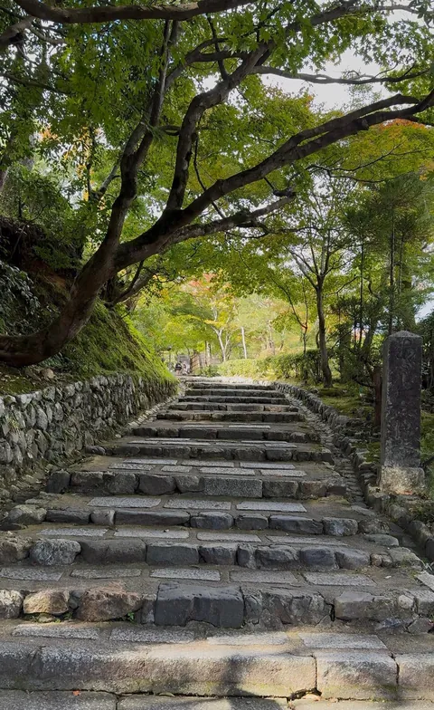 You don’t need 20,000 steps a day or every hyped-up restaurant to enjoy Japan